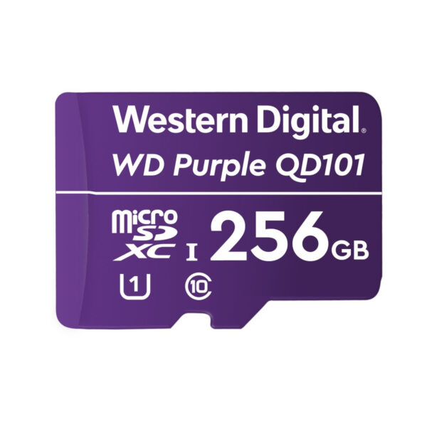 CARTAO MICRO SD 256GB 64TBW P/ SEGURANÇA ELETRONICA 4600165