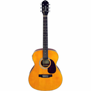 VIOLAO ACO ELETROACÚSTICO PERFORMANCE PLUS GAD PLUS EQ NG