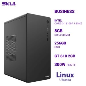 COMPUTADOR B300 CORE I3 13100F 3.4GHZ MEMÓRIA 8GB DDR4 SSD 256GB GT 610 2GB FONTE 300W LINUX UBUNTU